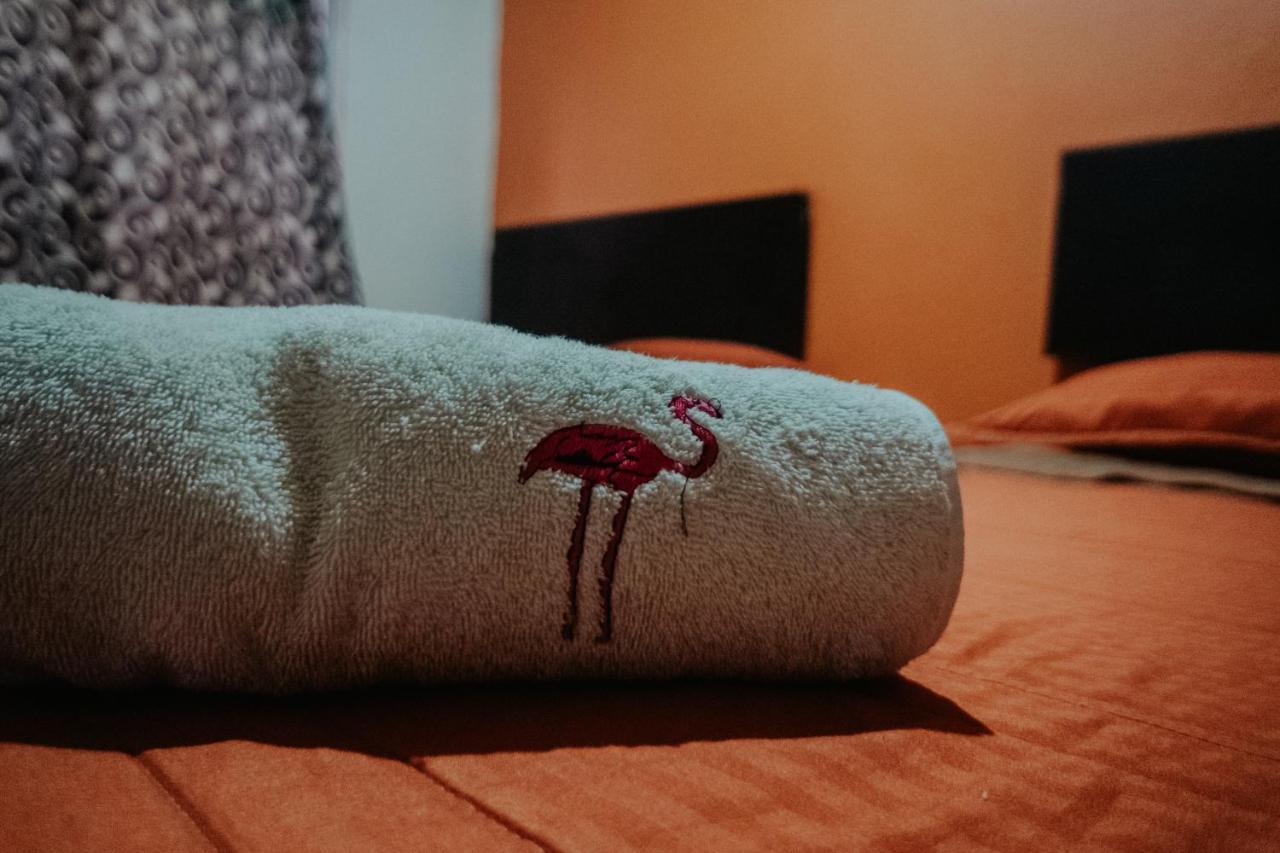 Bungalows Flamingos リンコン・デ・グアヤビトス エクステリア 写真