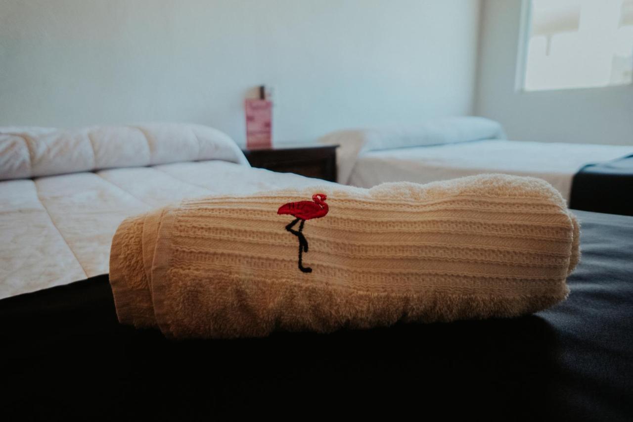 Bungalows Flamingos リンコン・デ・グアヤビトス エクステリア 写真