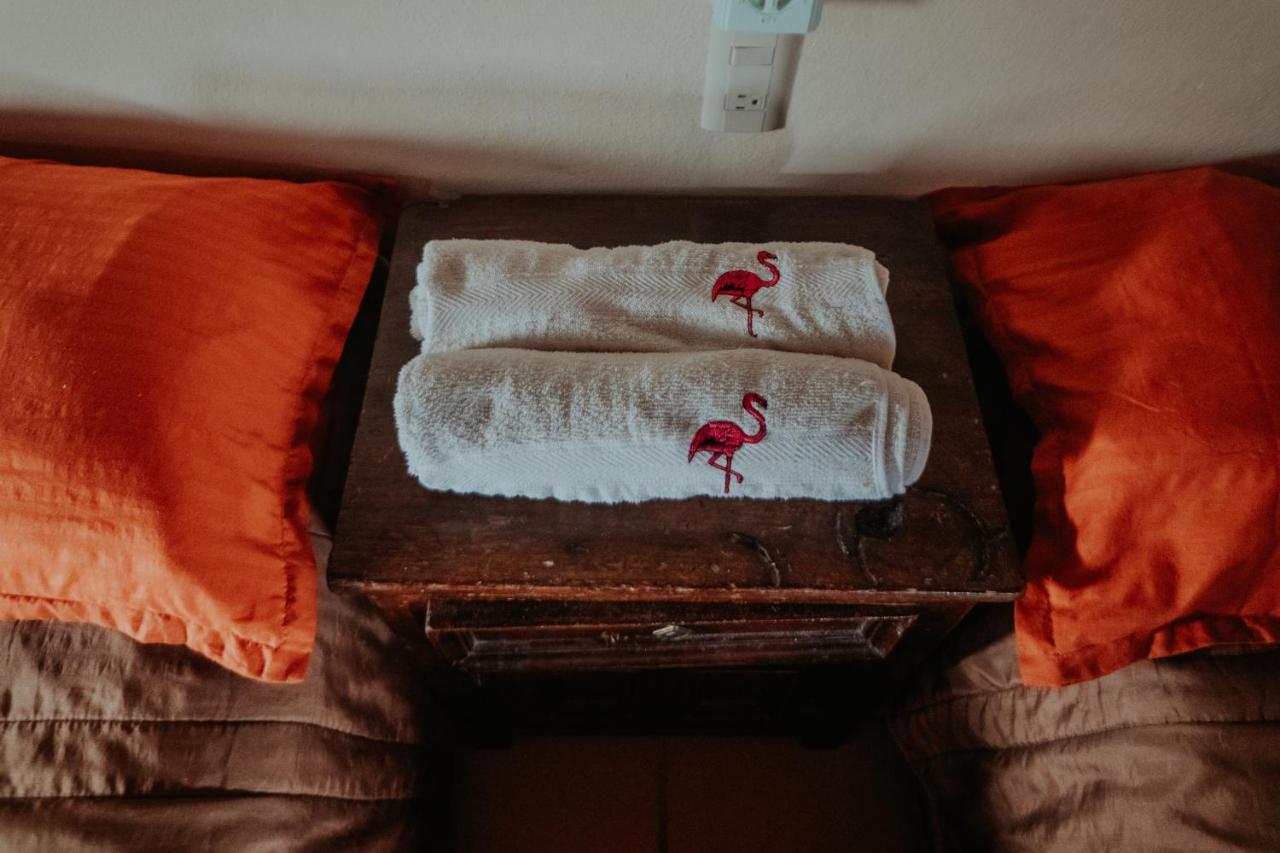 Bungalows Flamingos リンコン・デ・グアヤビトス エクステリア 写真